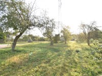 Działka Sprzedaż - świętokrzyskie, kielecki, Sitkówka-Nowiny, Bolechowice