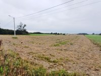 Działka Sprzedaż - świętokrzyskie, kielecki, Piekoszów, Brynica
