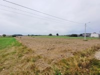 Działka Sprzedaż - świętokrzyskie, kielecki, Piekoszów, Brynica