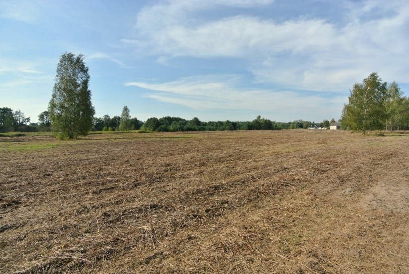 Działka Sprzedaż - mazowieckie, piaseczyński, Piaseczno (gw), Antoninów