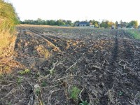 Działka Sprzedaż - świętokrzyskie, pińczowski, Działoszyce, Dziekanowice