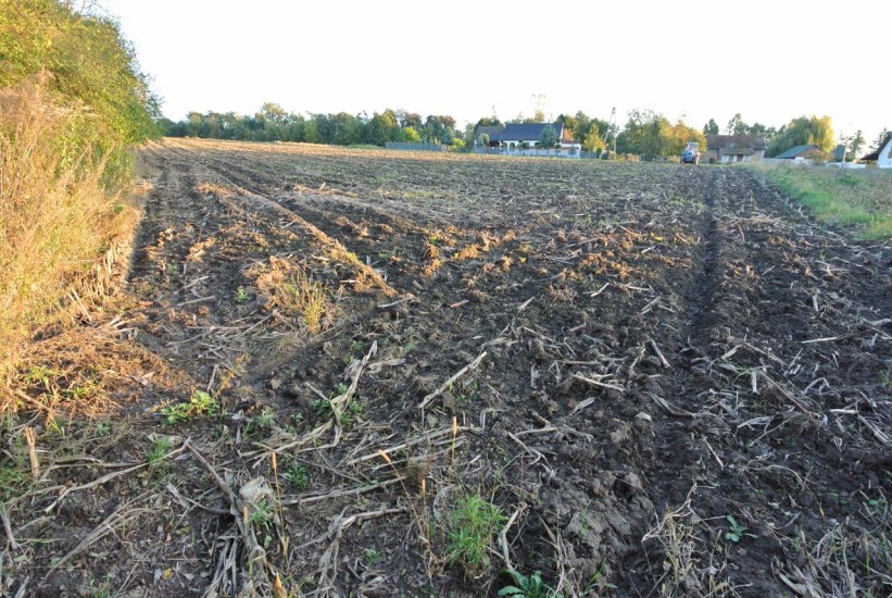 Działka Sprzedaż - świętokrzyskie, pińczowski, Działoszyce, Dziekanowice