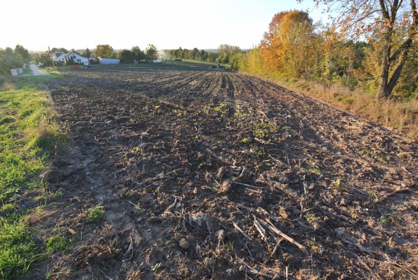 Działka Sprzedaż - świętokrzyskie, pińczowski, Działoszyce, Dziekanowice