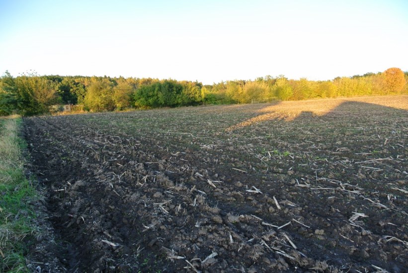 Działka Sprzedaż - świętokrzyskie, pińczowski, Działoszyce, Dziekanowice