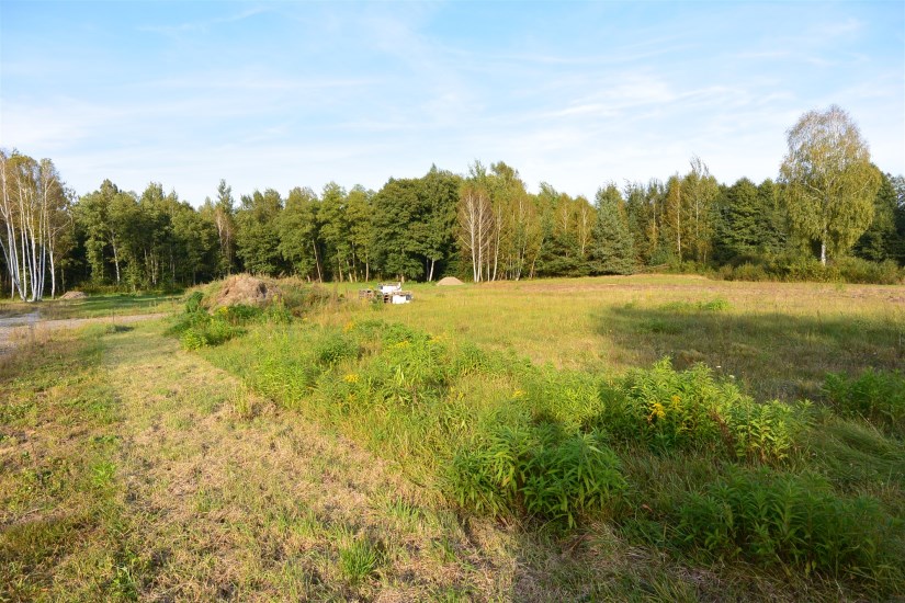 Działka Sprzedaż - świętokrzyskie, starachowicki, Brody, Młynek