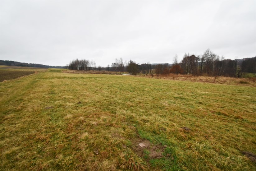 Działka Sprzedaż - świętokrzyskie, kielecki, Masłów, Masłów Pierwszy