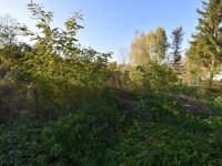 Działka Sprzedaż - świętokrzyskie, jędrzejowski, Imielno