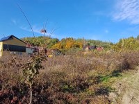 Działka Sprzedaż - świętokrzyskie, starachowicki, Brody