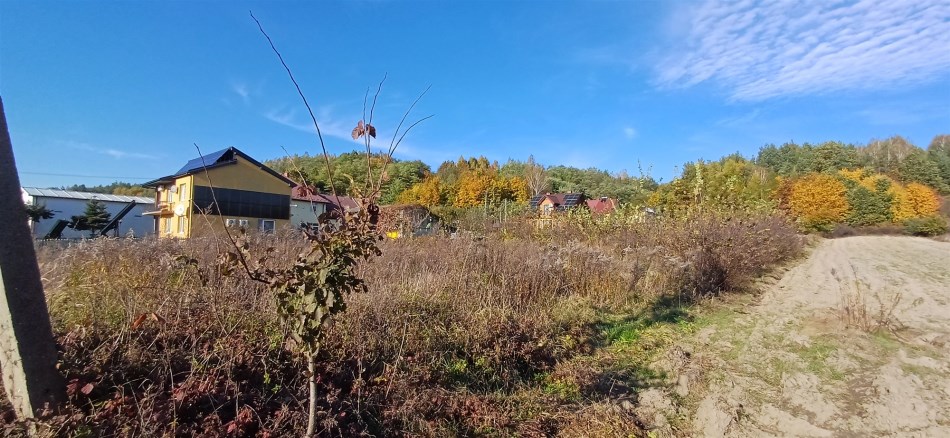 Działka Sprzedaż - świętokrzyskie, starachowicki, Brody