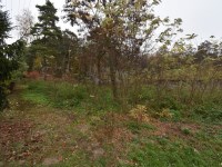 Działka Sprzedaż - świętokrzyskie, buski, Stopnica, Konary