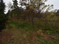Działka Sprzedaż - świętokrzyskie, buski, Stopnica, Konary