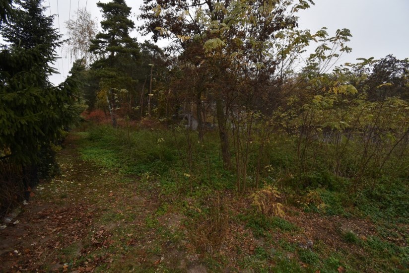 Działka Sprzedaż - świętokrzyskie, buski, Stopnica, Konary