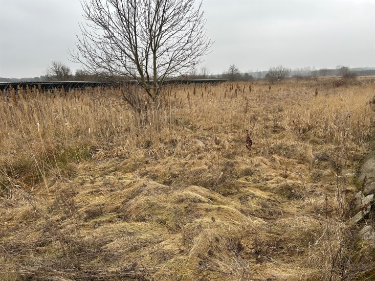 Działka Sprzedaż - świętokrzyskie, buski, Solec-Zdrój