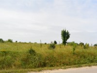 Działka Sprzedaż - świętokrzyskie, kielecki, Morawica, Radomice
