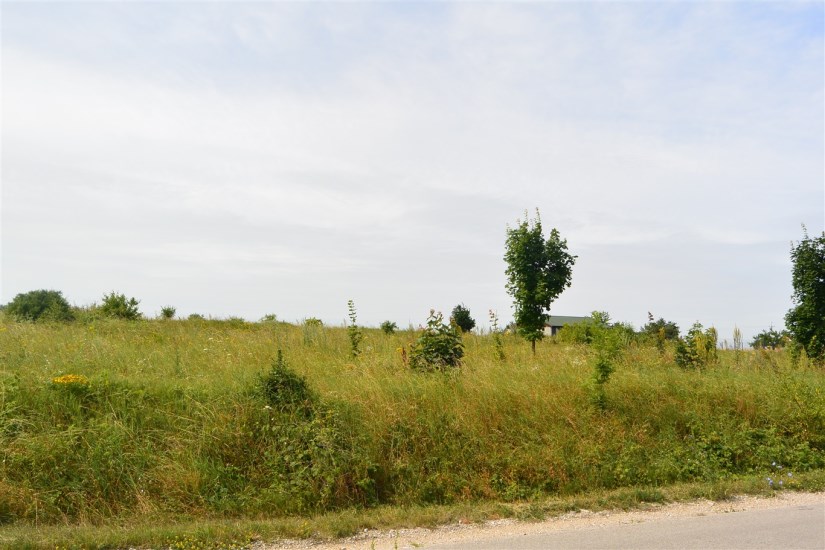 Działka Sprzedaż - świętokrzyskie, kielecki, Morawica, Radomice