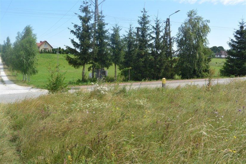 Działka Sprzedaż - świętokrzyskie, kielecki, Morawica, Radomice