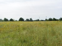 Działka Sprzedaż - świętokrzyskie, kielecki, Morawica, Radomice