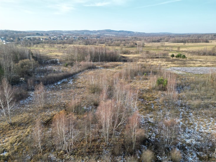 Działka Sprzedaż - świętokrzyskie, kielecki, Masłów, Brzezinki