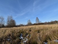 Działka Sprzedaż - świętokrzyskie, kielecki, Masłów, Brzezinki