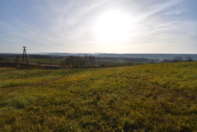 Działka Sprzedaż - świętokrzyskie, kielecki, Bodzentyn, Ściegnia