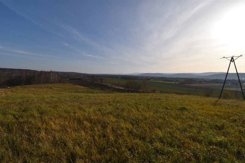 Działka Sprzedaż - świętokrzyskie, kielecki, Bodzentyn, Ściegnia