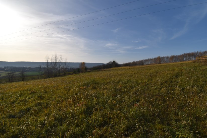 Działka Sprzedaż - świętokrzyskie, kielecki, Bodzentyn, Ściegnia