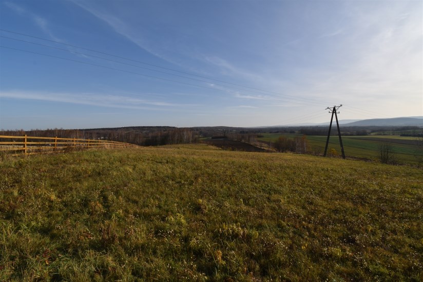 Działka Sprzedaż - świętokrzyskie, kielecki, Bodzentyn, Ściegnia