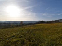 Działka Sprzedaż - świętokrzyskie, kielecki, Bodzentyn, Ściegnia