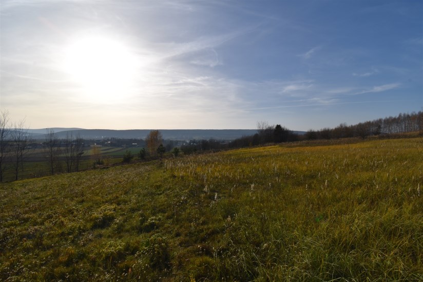Działka Sprzedaż - świętokrzyskie, kielecki, Bodzentyn, Ściegnia
