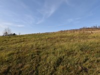 Działka Sprzedaż - świętokrzyskie, kielecki, Bodzentyn, Ściegnia