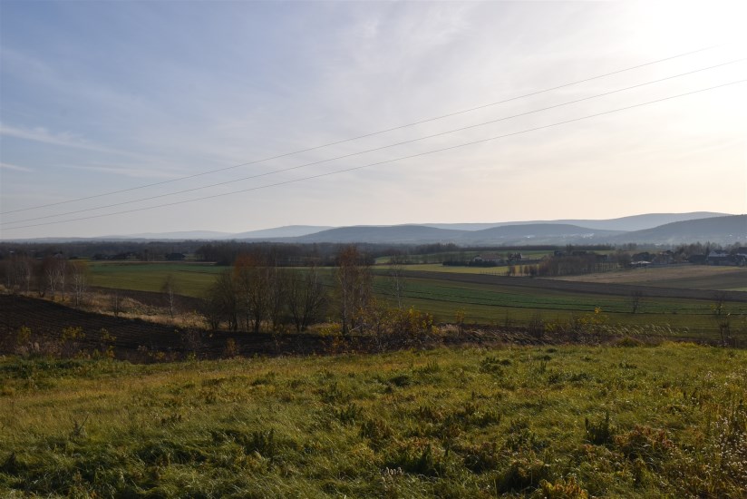 Działka Sprzedaż - świętokrzyskie, kielecki, Bodzentyn, Ściegnia
