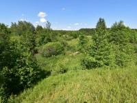 Działka Sprzedaż - świętokrzyskie, skarżyski, Łączna, Łączna, Jaśle