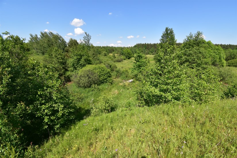 Działka Sprzedaż - świętokrzyskie, skarżyski, Łączna, Łączna, Jaśle