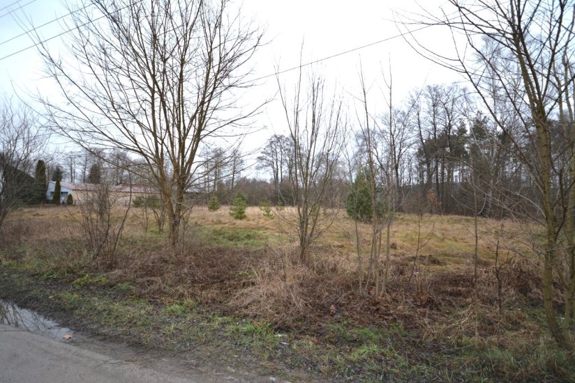 Działka Sprzedaż - świętokrzyskie, kielecki, Daleszyce, Danków-Wójtostwo