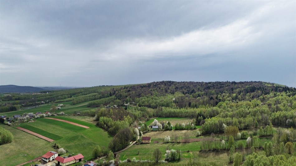 Działka Sprzedaż - świętokrzyskie, kielecki, Mniów, Cierchy