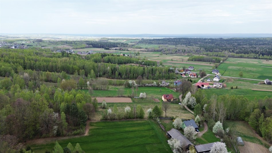 Działka Sprzedaż - świętokrzyskie, kielecki, Mniów, Cierchy