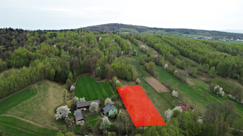 Działka Sprzedaż - świętokrzyskie, kielecki, Mniów, Cierchy