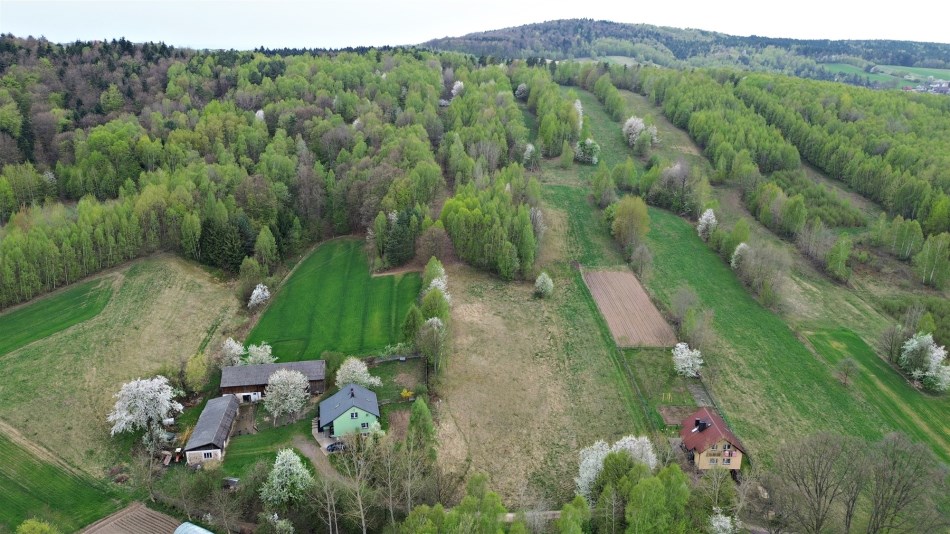 Działka Sprzedaż - świętokrzyskie, kielecki, Mniów, Cierchy