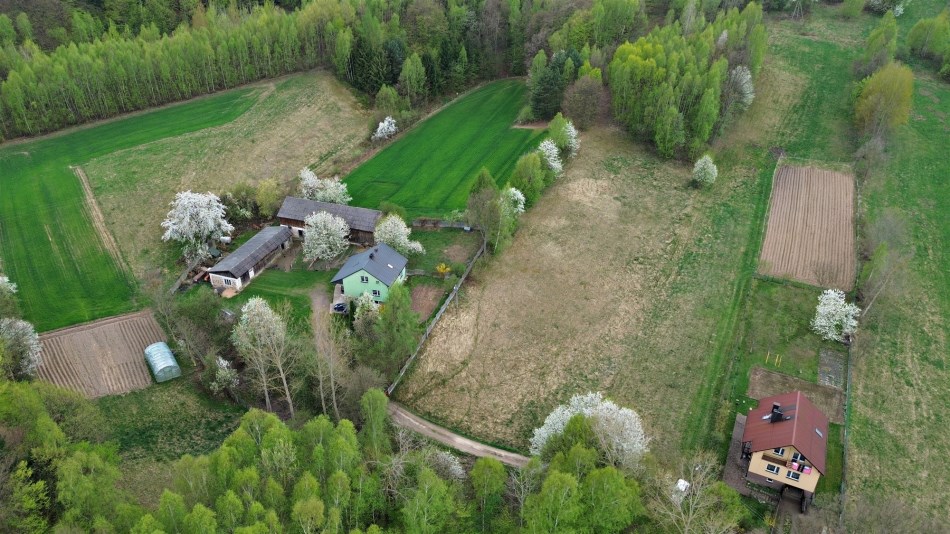 Działka Sprzedaż - świętokrzyskie, kielecki, Mniów, Cierchy