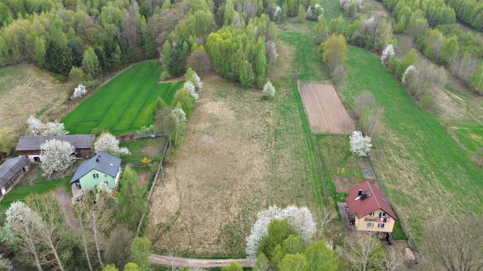 Działka Sprzedaż - świętokrzyskie, kielecki, Mniów, Cierchy