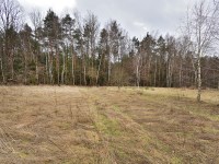 Działka Sprzedaż - świętokrzyskie, kielecki, Morawica, Bilcza