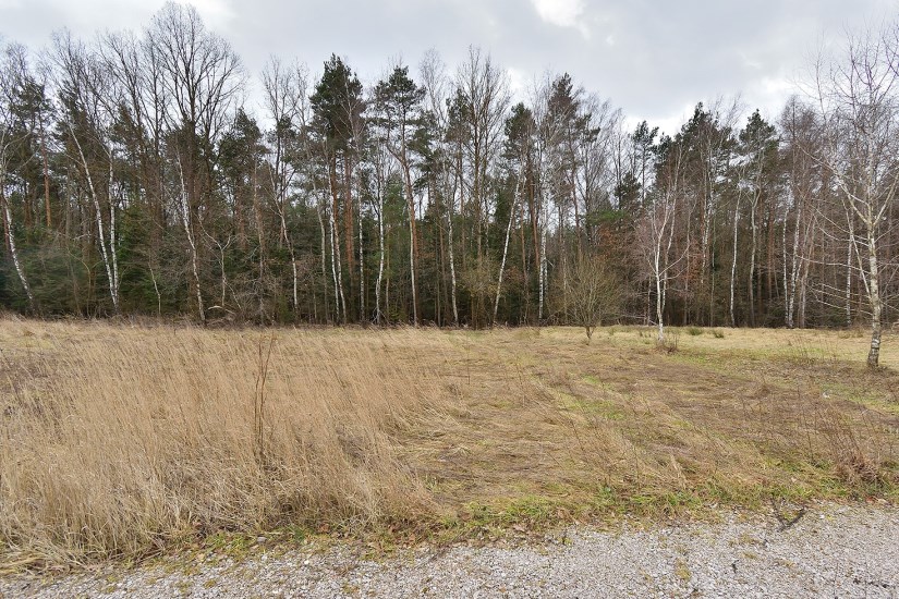 Działka Sprzedaż - świętokrzyskie, kielecki, Morawica, Bilcza