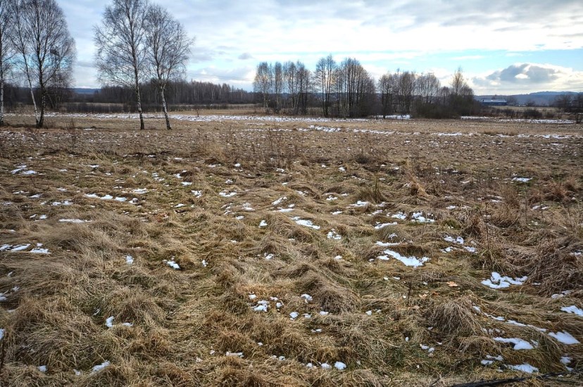 Dom Sprzedaż - świętokrzyskie, kielecki, Mniów, Pielaki