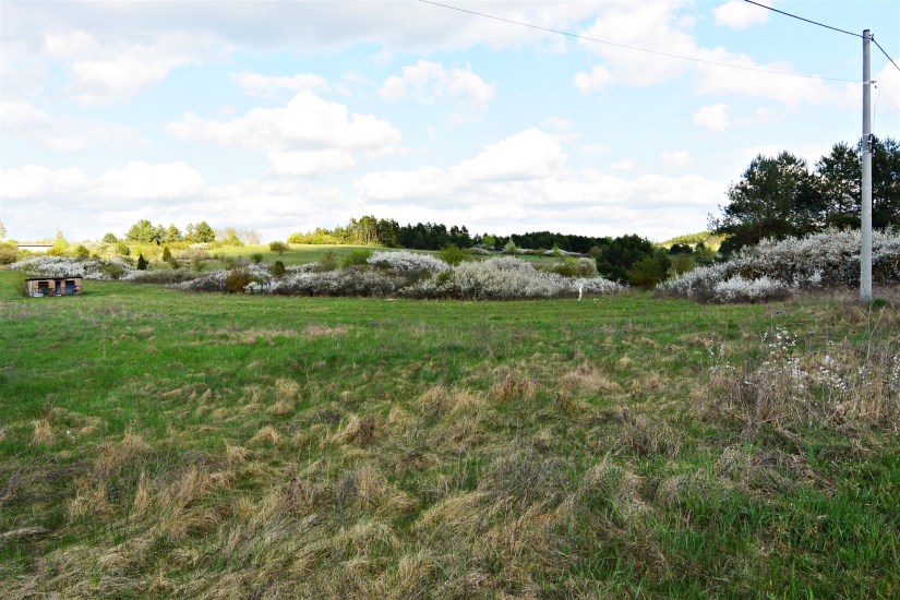 Działka Sprzedaż - świętokrzyskie, kielecki, Morawica, Łabędziów