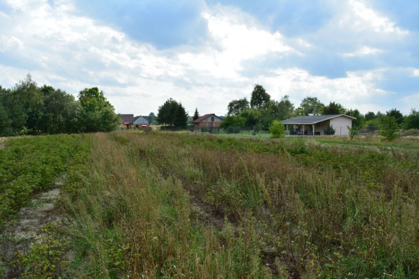 Działka Sprzedaż - świętokrzyskie, kielecki, Raków, Życiny