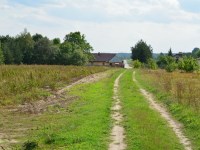 Działka Sprzedaż - świętokrzyskie, kielecki, Raków, Życiny