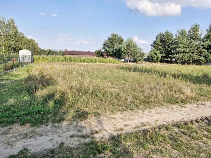 Działka Sprzedaż - świętokrzyskie, kielecki, Raków, Życiny