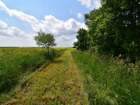 Działka Sprzedaż - świętokrzyskie, jędrzejowski, Sędziszów, Boleścice