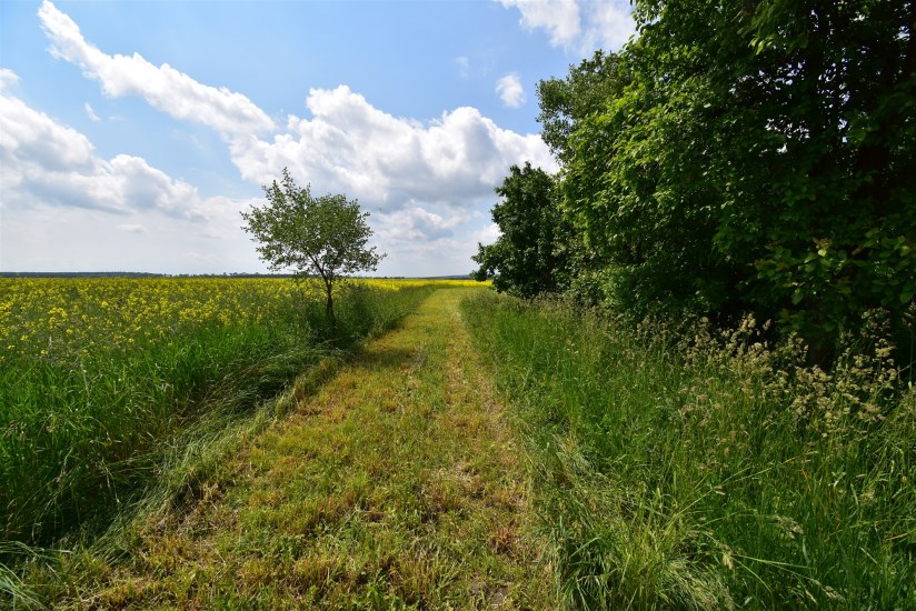 Działka Sprzedaż - świętokrzyskie, jędrzejowski, Sędziszów, Boleścice