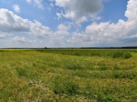 Działka Sprzedaż - świętokrzyskie, jędrzejowski, Sędziszów, Boleścice